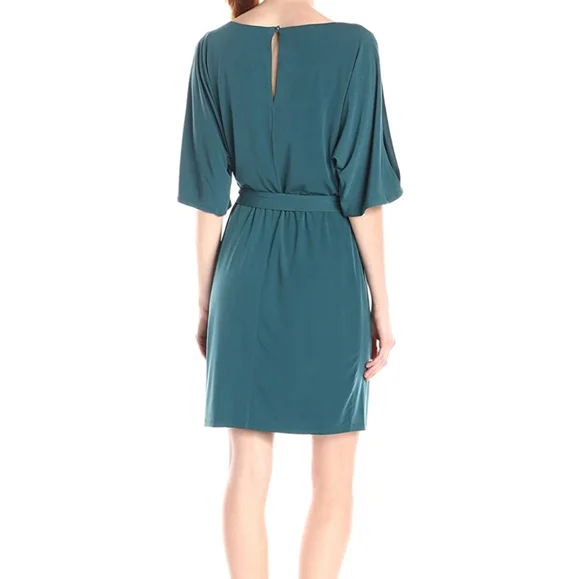 Perfect All Occassion Dress 👗 - Picture 2 of 7